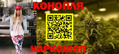 тгк Гай
