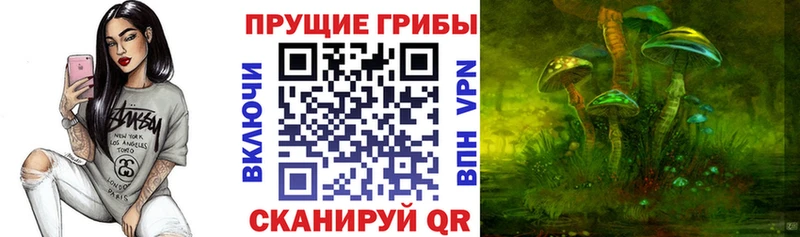 Галлюциногенные грибы прущие грибы Павловский Посад