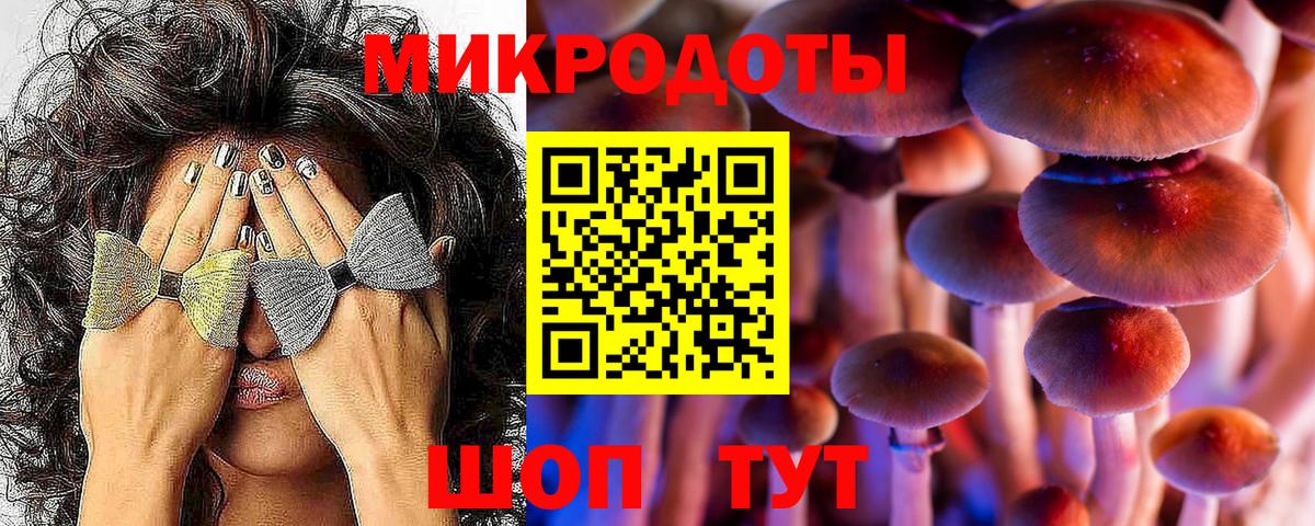 Галлюциногенные грибы прущие грибы Павловский Посад