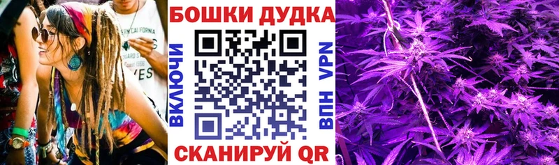 Бошки марихуана THC 21%  где найти   мега как зайти  Павловский Посад 